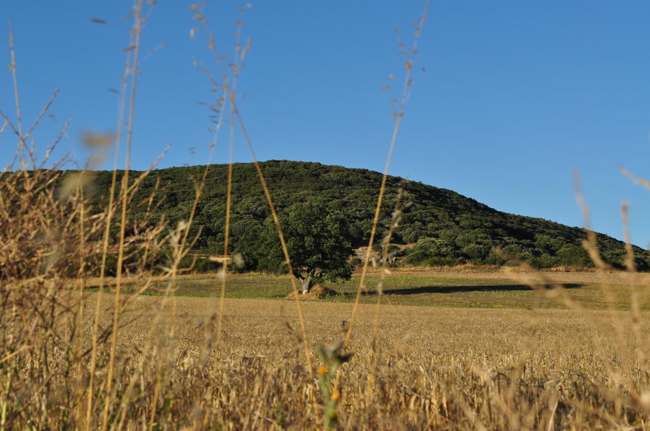 Ibeas de Juarros La Cabala De Ibeas B&B 외부 사진